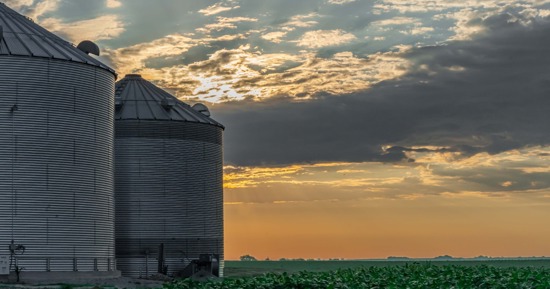 Grain Safety Takes Center Stage: Nebraska Corn Board and Nebraska Soybean Board Promote Stand Up 4 Grain Safety Week